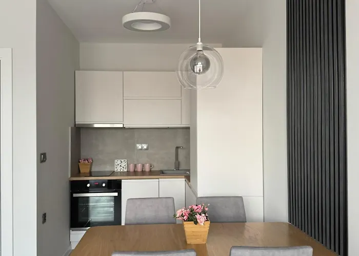 Sun In Center 普罗夫迪夫