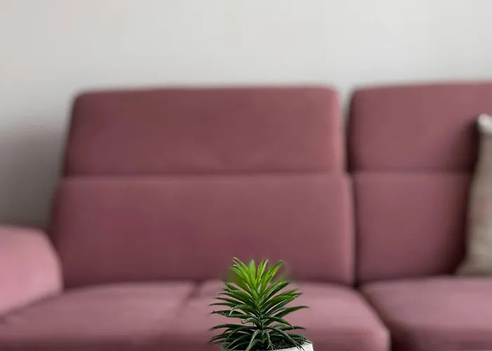 公寓 Sun In Center